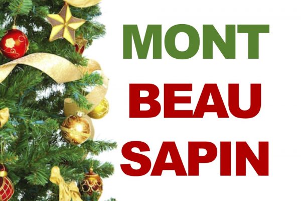 Vente de sapins naturels